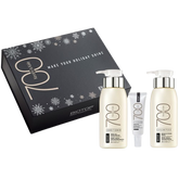 Biotop Professional 700 Keratin & Kale Holiday Shine Kit